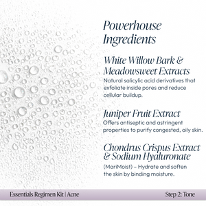 Acne Essentials Regimen Kit - image 6