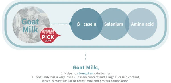 Dr.esthe Goat Milk Ampoule 50ml  European Beauty by B 