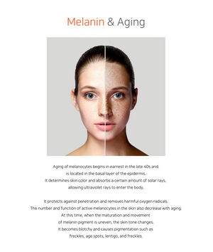 Tov Beauty Trandmi Pure Luster Cream 60 ml in a jar, showcasing a brightening detox cream with a smooth texture.